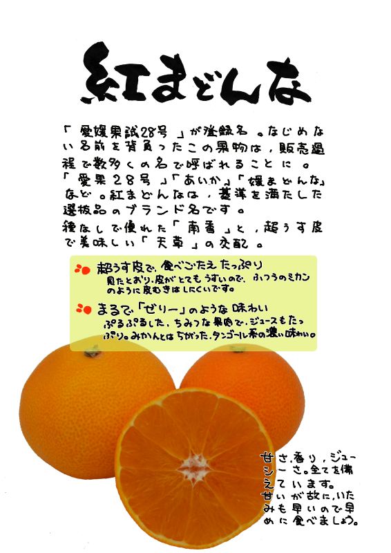 紅まどんな　愛媛果試28号｜心にチクっとささるワードで作る「ちくわPOP（ちくわぽっぷ）」｜農産物直売所やスーパーの青果売り場の活性化に！農に特化したPOPが無料!!