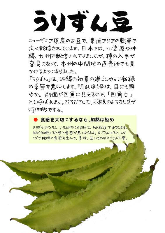 うりずんまめ　四角豆　TX｜心にチクっとささるワードで作る「ちくわPOP（ちくわぽっぷ）」｜農産物直売所やスーパーの青果売り場の活性化に！農に特化したPOPが無料!!