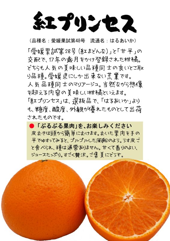 紅プリンセス　はるあいか　愛媛果試第48号　TX｜心にチクっとささるワードで作る「ちくわPOP（ちくわぽっぷ）」｜農産物直売所やスーパーの青果売り場の活性化に！農に特化したPOPが無料!!