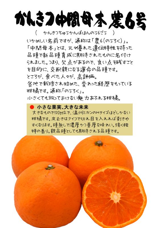 かんきつ中間母本農6号｜心にチクっとささるワードで作る「ちくわPOP（ちくわぽっぷ）」｜農産物直売所やスーパーの青果売り場の活性化に！農に特化したPOPが無料!!