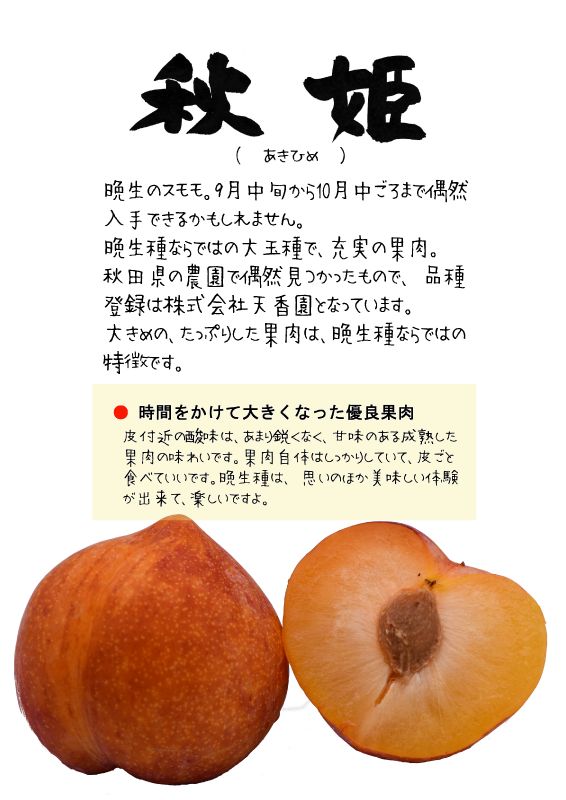 秋姫　プラム　すもも　akihimeTX｜心にチクっとささるワードで作る「ちくわPOP（ちくわぽっぷ）」｜農産物直売所やスーパーの青果売り場の活性化に！農に特化したPOPが無料!!