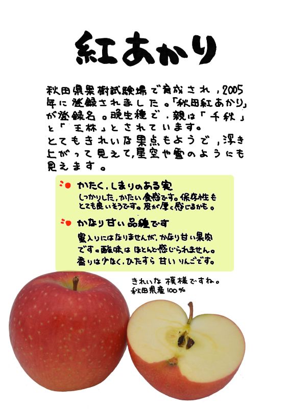 秋田紅あかり｜心にチクっとささるワードで作る「ちくわPOP（ちくわぽっぷ）」｜農産物直売所やスーパーの青果売り場の活性化に！農に特化したPOPが無料!!