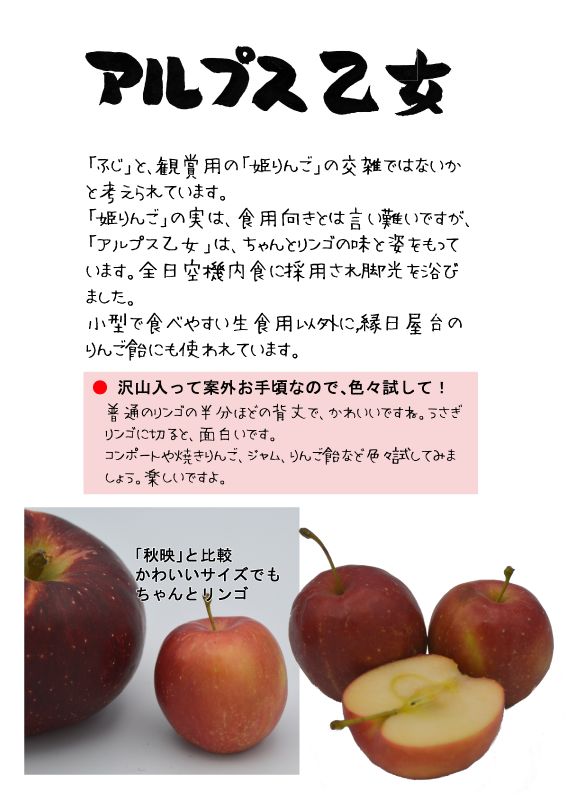 アルプス乙女　　赤りんご　TX｜心にチクっとささるワードで作る「ちくわPOP（ちくわぽっぷ）」｜農産物直売所やスーパーの青果売り場の活性化に！農に特化したPOPが無料!!