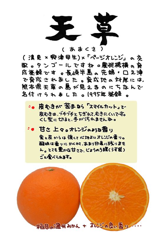 天草｜心にチクっとささるワードで作る「ちくわPOP（ちくわぽっぷ）」｜農産物直売所やスーパーの青果売り場の活性化に！農に特化したPOPが無料!!