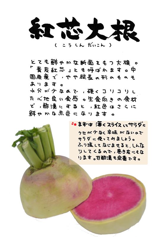 紅芯大根　こうしんだいこん｜心にチクっとささるワードで作る「ちくわPOP（ちくわぽっぷ）」｜農産物直売所やスーパーの青果売り場の活性化に！農に特化したPOPが無料!!
