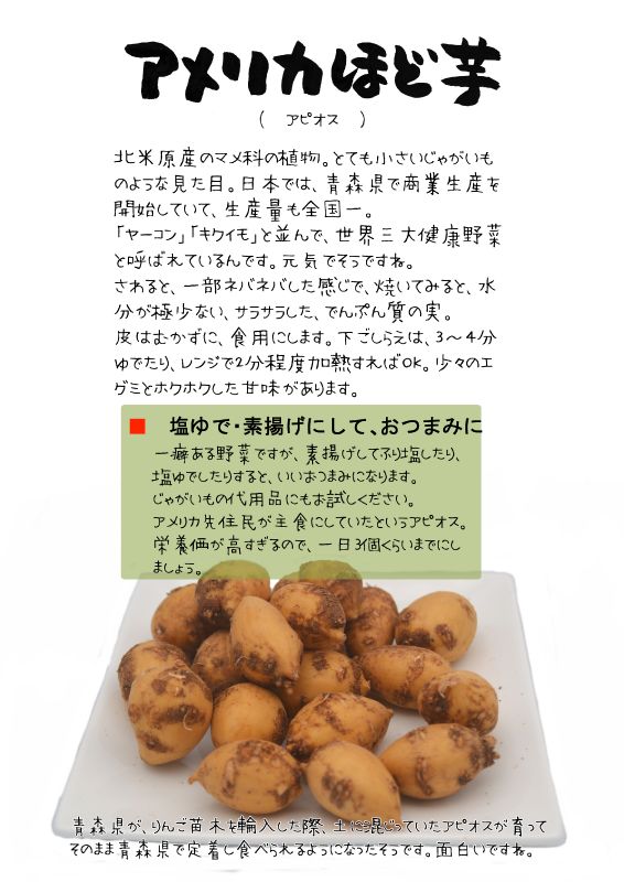 アメリカほど芋　アピオス　Apios americana｜心にチクっとささるワードで作る「ちくわPOP（ちくわぽっぷ）」｜農産物直売所やスーパーの青果売り場の活性化に！農に特化したPOPが無料!!