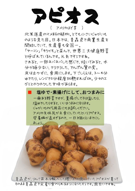 アピオス　Apios americana｜心にチクっとささるワードで作る「ちくわPOP（ちくわぽっぷ）」｜農産物直売所やスーパーの青果売り場の活性化に！農に特化したPOPが無料!!