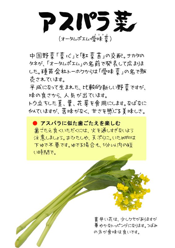 アスパラ菜　TX｜心にチクっとささるワードで作る「ちくわPOP（ちくわぽっぷ）」｜農産物直売所やスーパーの青果売り場の活性化に！農に特化したPOPが無料!!
