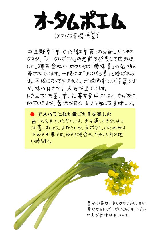 オータムポエム　TX｜心にチクっとささるワードで作る「ちくわPOP（ちくわぽっぷ）」｜農産物直売所やスーパーの青果売り場の活性化に！農に特化したPOPが無料!!