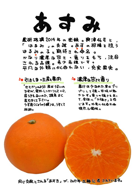 あすみ　柑橘｜心にチクっとささるワードで作る「ちくわPOP（ちくわぽっぷ）」｜農産物直売所やスーパーの青果売り場の活性化に！農に特化したPOPが無料!!