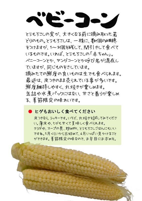 ベビーコーン　TX｜心にチクっとささるワードで作る「ちくわPOP（ちくわぽっぷ）」｜農産物直売所やスーパーの青果売り場の活性化に！農に特化したPOPが無料!!