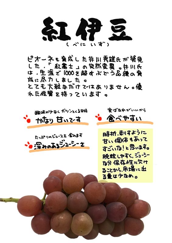 紅伊豆　べにいず｜心にチクっとささるワードで作る「ちくわPOP（ちくわぽっぷ）」｜農産物直売所やスーパーの青果売り場の活性化に！農に特化したPOPが無料!!