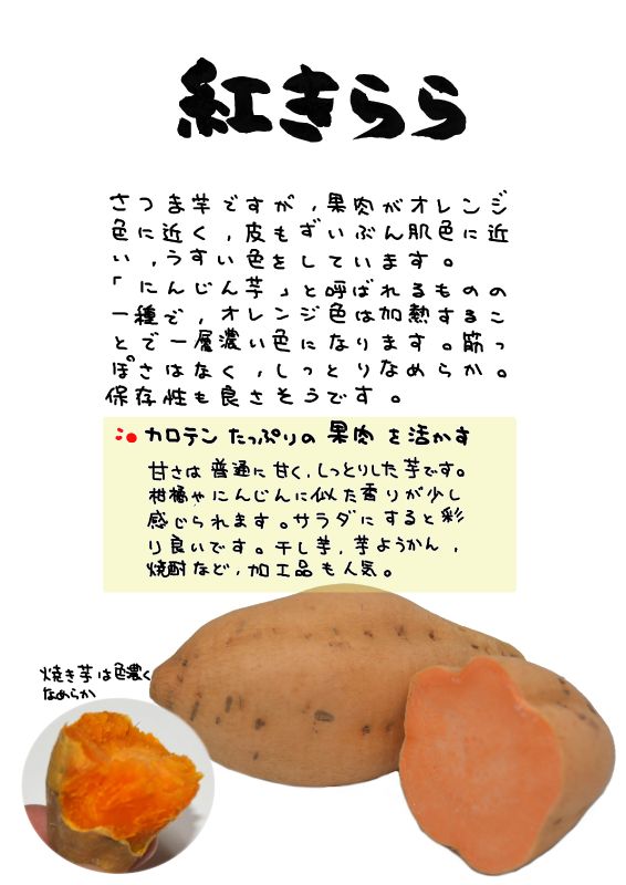 紅きらら　さつまいも　にんじん芋｜心にチクっとささるワードで作る「ちくわPOP（ちくわぽっぷ）」｜農産物直売所やスーパーの青果売り場の活性化に！農に特化したPOPが無料!!