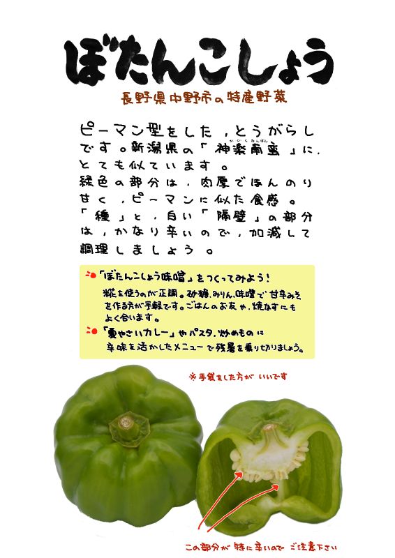 ぼたんこしょう｜心にチクっとささるワードで作る「ちくわPOP（ちくわぽっぷ）」｜農産物直売所やスーパーの青果売り場の活性化に！農に特化したPOPが無料!!