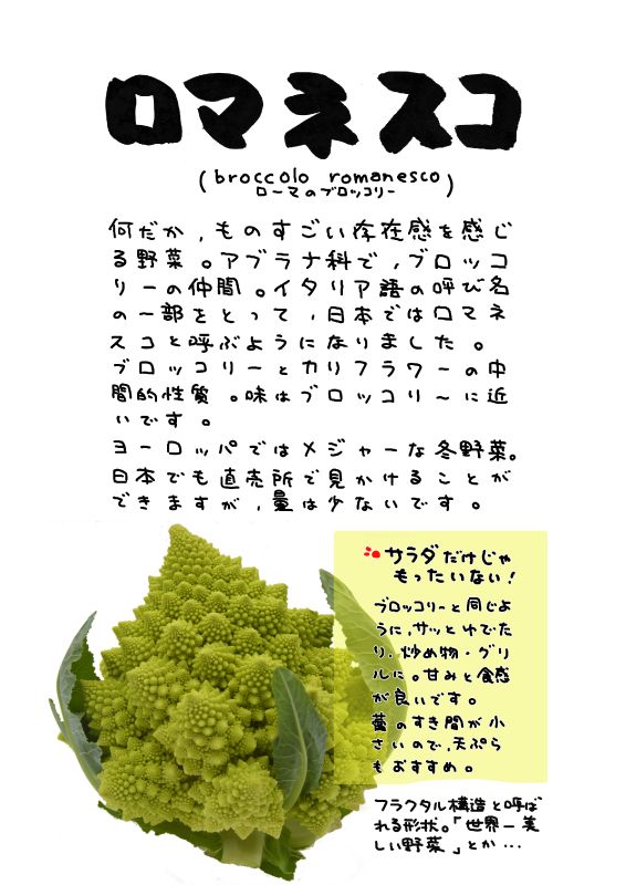 ロマネスコ｜心にチクっとささるワードで作る「ちくわPOP（ちくわぽっぷ）」｜農産物直売所やスーパーの青果売り場の活性化に！農に特化したPOPが無料!!