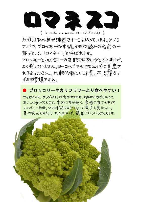 ロマネスコ　Broccolo RomanescoTX｜心にチクっとささるワードで作る「ちくわPOP（ちくわぽっぷ）」｜農産物直売所やスーパーの青果売り場の活性化に！農に特化したPOPが無料!!