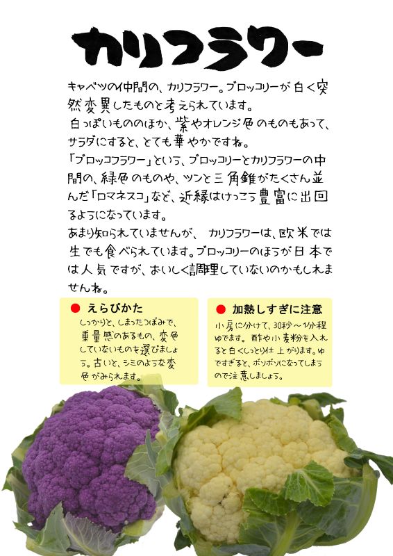 カリフラワー　白紫　cauliflower　TX｜心にチクっとささるワードで作る「ちくわPOP（ちくわぽっぷ）」｜農産物直売所やスーパーの青果売り場の活性化に！農に特化したPOPが無料!!