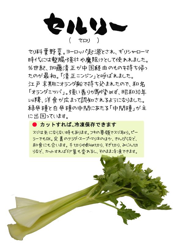 セルリー　celery　TX｜心にチクっとささるワードで作る「ちくわPOP（ちくわぽっぷ）」｜農産物直売所やスーパーの青果売り場の活性化に！農に特化したPOPが無料!!