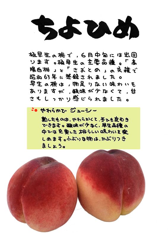 ちよひめ　桃　chiyohime peach｜心にチクっとささるワードで作る「ちくわPOP（ちくわぽっぷ）」｜農産物直売所やスーパーの青果売り場の活性化に！農に特化したPOPが無料!!