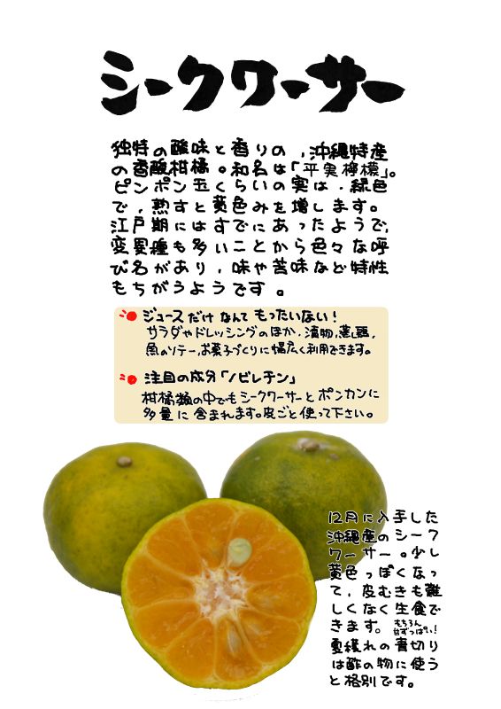 シークワーサー｜心にチクっとささるワードで作る「ちくわPOP（ちくわぽっぷ）」｜農産物直売所やスーパーの青果売り場の活性化に！農に特化したPOPが無料!!