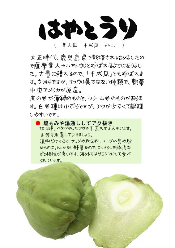 はやとうり　TX｜心にチクっとささるワードで作る「ちくわPOP（ちくわぽっぷ）」｜農産物直売所やスーパーの青果売り場の活性化に！農に特化したPOPが無料!!