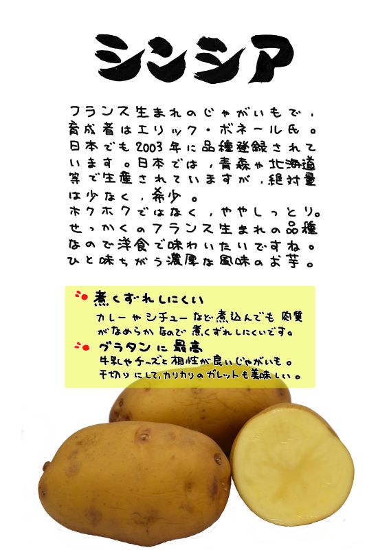シンシア　じゃがいも｜心にチクっとささるワードで作る「ちくわPOP（ちくわぽっぷ）」｜農産物直売所やスーパーの青果売り場の活性化に！農に特化したPOPが無料!!