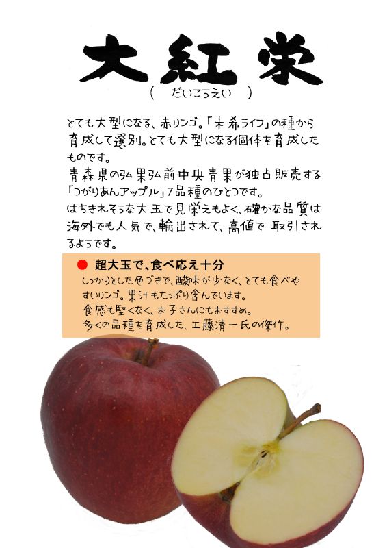 大紅栄　赤りんご　TX｜心にチクっとささるワードで作る「ちくわPOP（ちくわぽっぷ）」｜農産物直売所やスーパーの青果売り場の活性化に！農に特化したPOPが無料!!