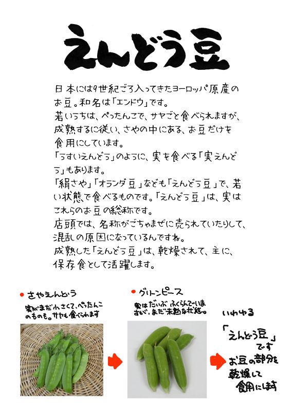 えんどう豆　TX｜心にチクっとささるワードで作る「ちくわPOP（ちくわぽっぷ）」｜農産物直売所やスーパーの青果売り場の活性化に！農に特化したPOPが無料!!