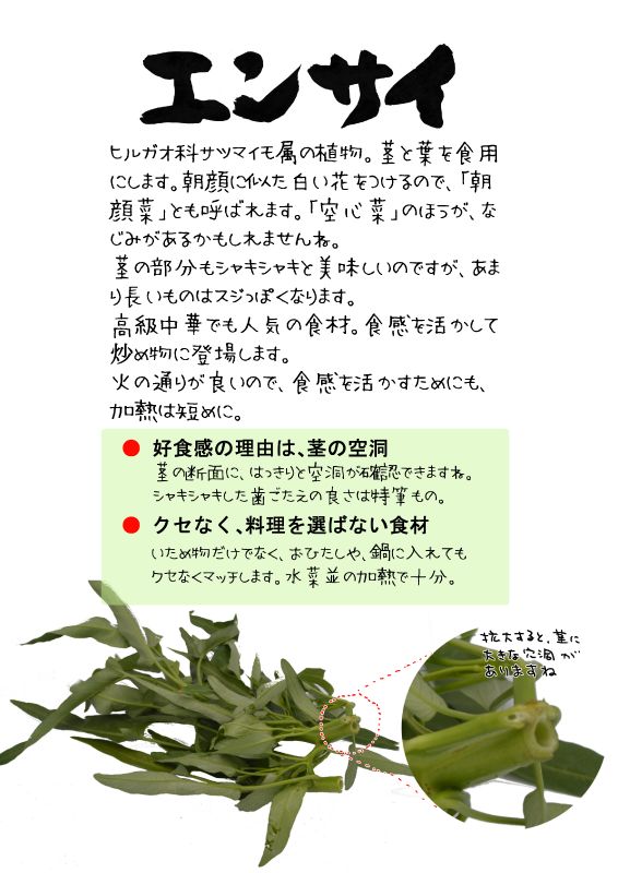 エンサイ　空心菜　TX｜心にチクっとささるワードで作る「ちくわPOP（ちくわぽっぷ）」｜農産物直売所やスーパーの青果売り場の活性化に！農に特化したPOPが無料!!
