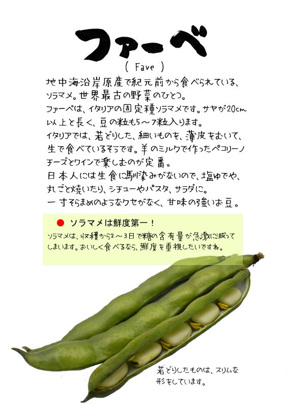 ファーベ　イタリアそらまめ　Fave｜心にチクっとささるワードで作る「ちくわPOP（ちくわぽっぷ）」｜農産物直売所やスーパーの青果売り場の活性化に！農に特化したPOPが無料!!