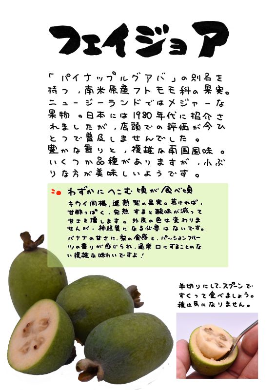 フェイジョア　フィジョア｜心にチクっとささるワードで作る「ちくわPOP（ちくわぽっぷ）」｜農産物直売所やスーパーの青果売り場の活性化に！農に特化したPOPが無料!!