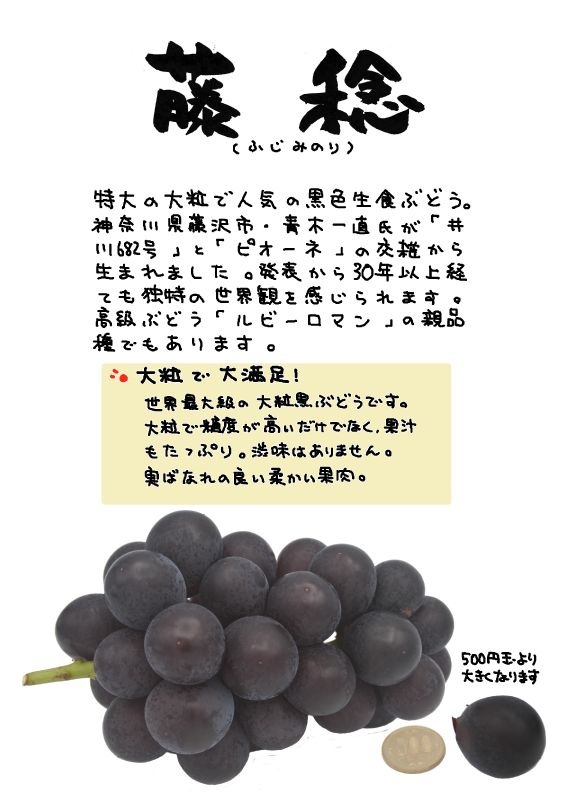 藤稔　ふじみのり　大峰｜心にチクっとささるワードで作る「ちくわPOP（ちくわぽっぷ）」｜農産物直売所やスーパーの青果売り場の活性化に！農に特化したPOPが無料!!