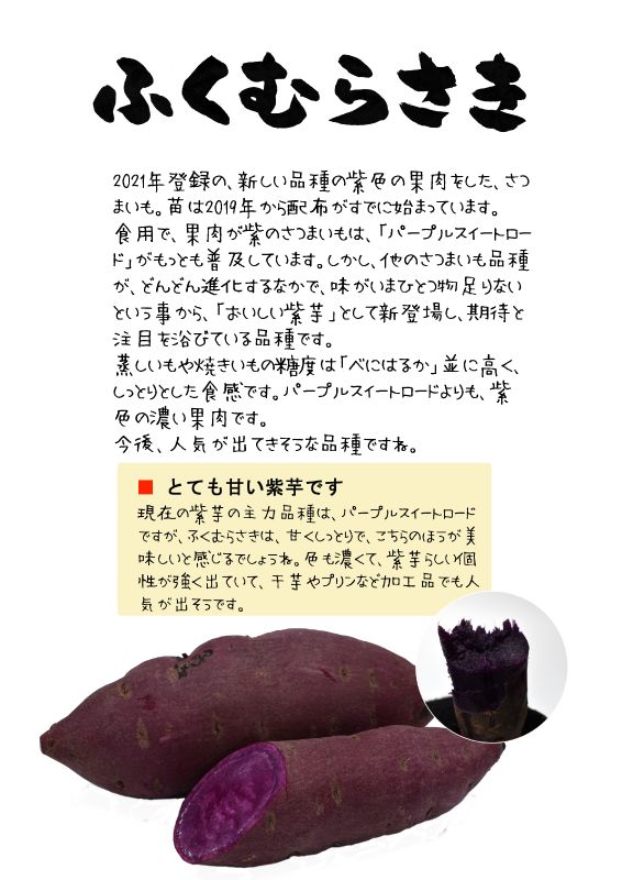 ふくむらさき　紫芋　さつまいも｜心にチクっとささるワードで作る「ちくわPOP（ちくわぽっぷ）」｜農産物直売所やスーパーの青果売り場の活性化に！農に特化したPOPが無料!!