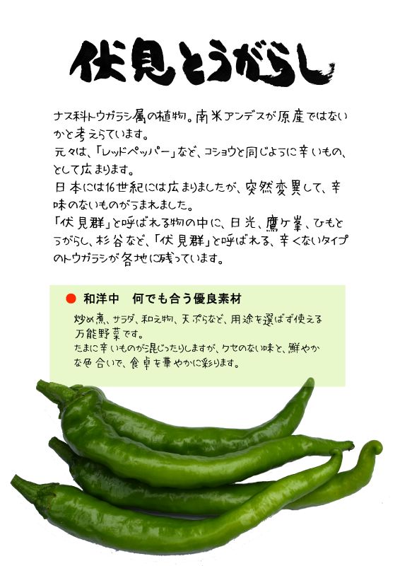 伏見とうがらし　ふしみトウガラシ　伏見甘とう｜心にチクっとささるワードで作る「ちくわPOP（ちくわぽっぷ）」｜農産物直売所やスーパーの青果売り場の活性化に！農に特化したPOPが無料!!