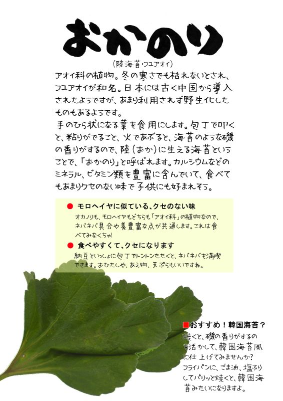 おかのり　陸海苔　フユアオイ　TX｜心にチクっとささるワードで作る「ちくわPOP（ちくわぽっぷ）」｜農産物直売所やスーパーの青果売り場の活性化に！農に特化したPOPが無料!!