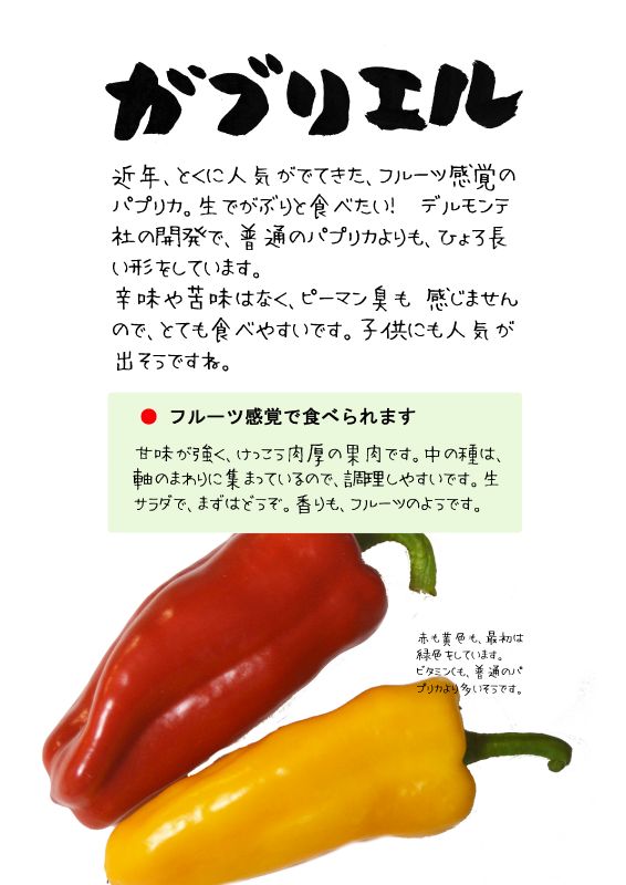 ガブリエル　TX　パプリカ｜心にチクっとささるワードで作る「ちくわPOP（ちくわぽっぷ）」｜農産物直売所やスーパーの青果売り場の活性化に！農に特化したPOPが無料!!