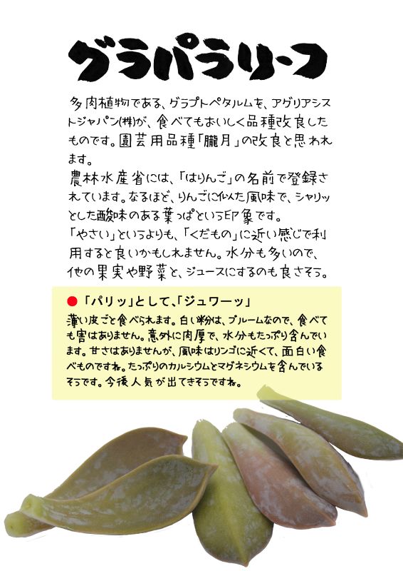 グラパラリーフTX｜心にチクっとささるワードで作る「ちくわPOP（ちくわぽっぷ）」｜農産物直売所やスーパーの青果売り場の活性化に！農に特化したPOPが無料!!