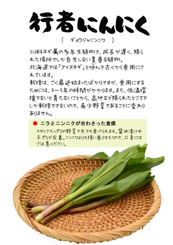 行者にんにく　アイヌネギ｜心にチクっとささるワードで作る「ちくわPOP（ちくわぽっぷ）」｜農産物直売所やスーパーの青果売り場の活性化に！農に特化したPOPが無料!!