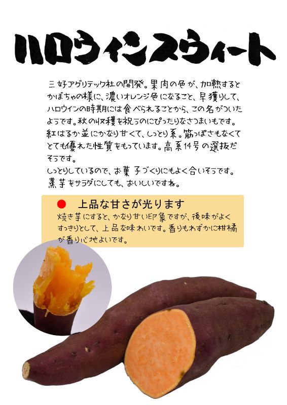 ハロウィンスウィート　さつまいも｜心にチクっとささるワードで作る「ちくわPOP（ちくわぽっぷ）」｜農産物直売所やスーパーの青果売り場の活性化に！農に特化したPOPが無料!!