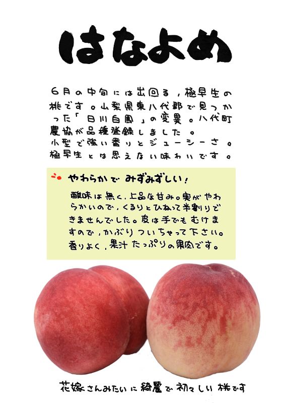 はなよめ　桃　hanayome peach｜心にチクっとささるワードで作る「ちくわPOP（ちくわぽっぷ）」｜農産物直売所やスーパーの青果売り場の活性化に！農に特化したPOPが無料!!