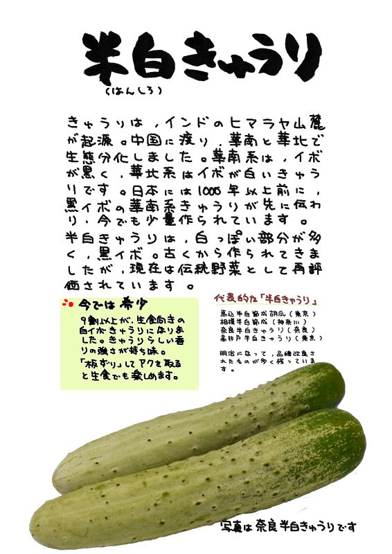 半白きゅうり｜心にチクっとささるワードで作る「ちくわPOP（ちくわぽっぷ）」｜農産物直売所やスーパーの青果売り場の活性化に！農に特化したPOPが無料!!