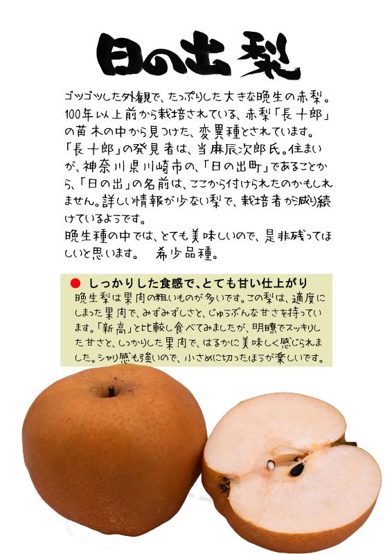 日の出梨　ひので　赤梨TX｜心にチクっとささるワードで作る「ちくわPOP（ちくわぽっぷ）」｜農産物直売所やスーパーの青果売り場の活性化に！農に特化したPOPが無料!!