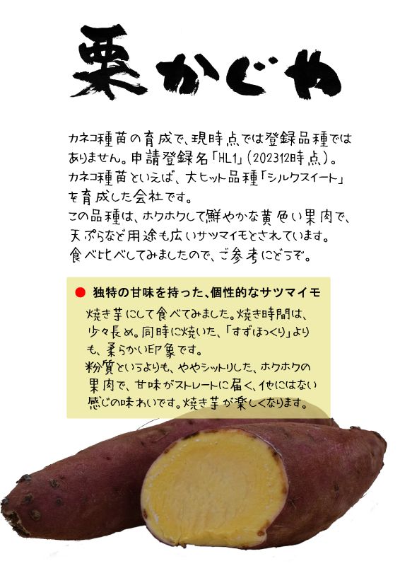 栗かぐや　HL1　カネコ種苗　サツマイモ｜心にチクっとささるワードで作る「ちくわPOP（ちくわぽっぷ）」｜農産物直売所やスーパーの青果売り場の活性化に！農に特化したPOPが無料!!