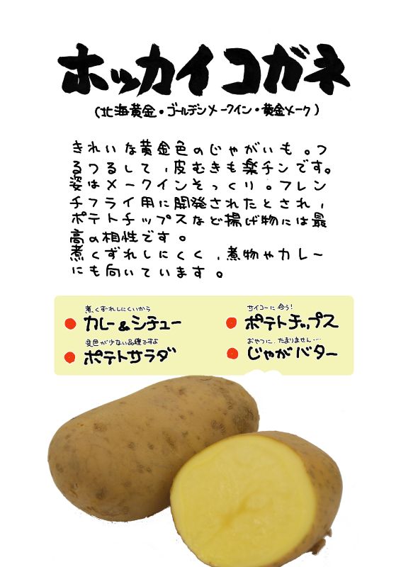 ホッカイコガネ　北海黄金｜心にチクっとささるワードで作る「ちくわPOP（ちくわぽっぷ）」｜農産物直売所やスーパーの青果売り場の活性化に！農に特化したPOPが無料!!