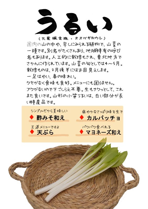 うるい　オオギバボウシ　hosta plant TX｜心にチクっとささるワードで作る「ちくわPOP（ちくわぽっぷ）」｜農産物直売所やスーパーの青果売り場の活性化に！農に特化したPOPが無料!!