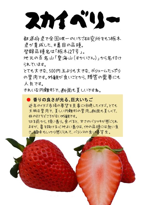 スカイベリー skyberry 　TX｜心にチクっとささるワードで作る「ちくわPOP（ちくわぽっぷ）」｜農産物直売所やスーパーの青果売り場の活性化に！農に特化したPOPが無料!!