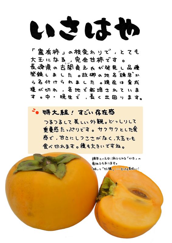 いさはや　柿｜心にチクっとささるワードで作る「ちくわPOP（ちくわぽっぷ）」｜農産物直売所やスーパーの青果売り場の活性化に！農に特化したPOPが無料!!