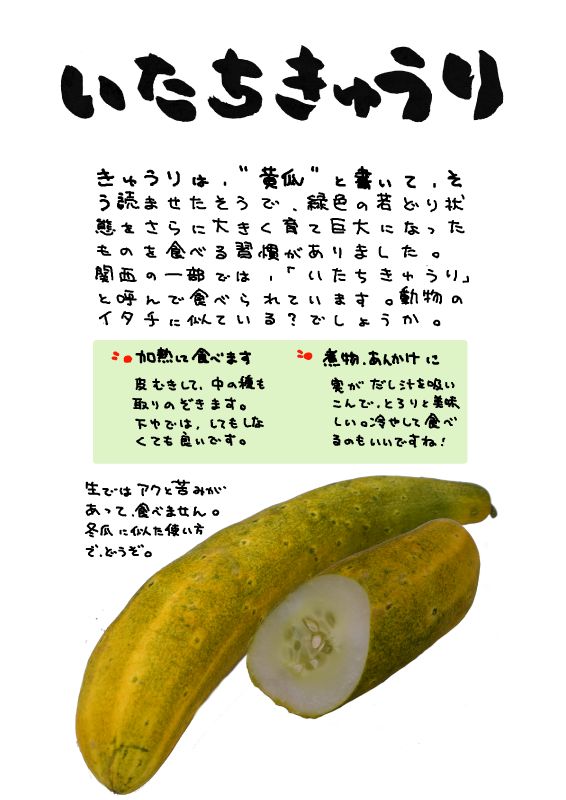 いたちきゅうり　鼬胡瓜｜心にチクっとささるワードで作る「ちくわPOP（ちくわぽっぷ）」｜農産物直売所やスーパーの青果売り場の活性化に！農に特化したPOPが無料!!