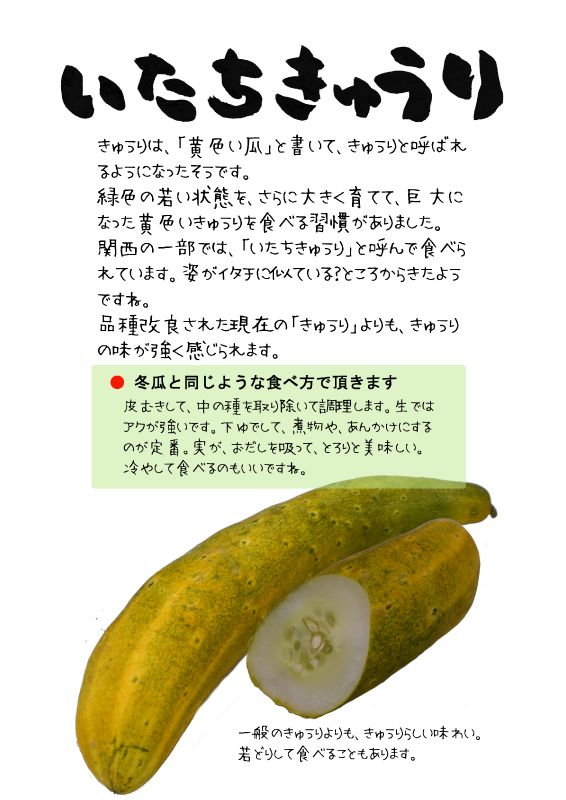 いたちきゅうり　鼬胡瓜　TX｜心にチクっとささるワードで作る「ちくわPOP（ちくわぽっぷ）」｜農産物直売所やスーパーの青果売り場の活性化に！農に特化したPOPが無料!!