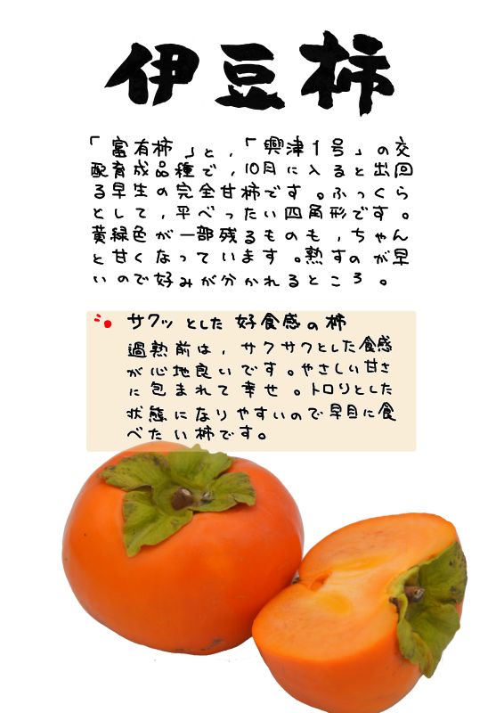 伊豆柿｜心にチクっとささるワードで作る「ちくわPOP（ちくわぽっぷ）」｜農産物直売所やスーパーの青果売り場の活性化に！農に特化したPOPが無料!!